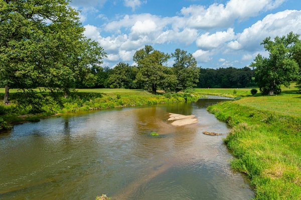 Découverte des thés minceur du monde